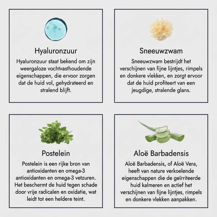 Aluna Age Reset Serum